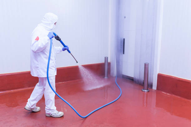 Best Rust Removal  in Valparaiso, FL